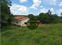 Fazenda / Sítio / Chácara à venda, 532400m² no Zona Rural, Cristianópolis - Foto 3