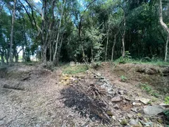 Terreno / Lote / Condomínio à venda, 22000m² no Sao Valentin, Bento Gonçalves - Foto 7