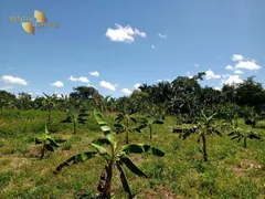 Fazenda / Sítio / Chácara à venda, 6350000m² no Centro, Nova Xavantina - Foto 11