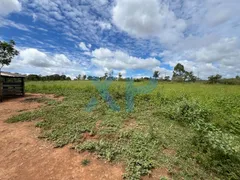 Fazenda / Sítio / Chácara com 3 Quartos à venda, 290m² no Zona Rural, São Sebastião do Oeste - Foto 65