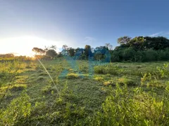 Fazenda / Sítio / Chácara com 2 Quartos à venda, 60m² no Zona Rural, São Sebastião do Oeste - Foto 12