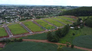 Terreno / Lote / Condomínio à venda, 264m² no Centro, Três Barras do Paraná - Foto 10