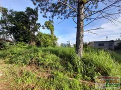 Terreno / Lote / Condomínio à venda, 250m² no Balneario Sao Joao Batista , Peruíbe - Foto 3