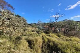 Terreno / Lote / Condomínio à venda, 256m² no Cachoeira do Campo, Ouro Preto - Foto 4