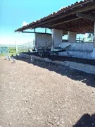 Fazenda / Sítio / Chácara com 3 Quartos à venda, 6600m² no Zona Rural, São José de Mipibu - Foto 14