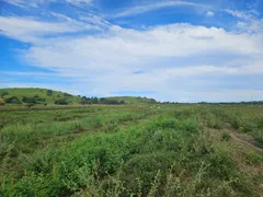 Fazenda / Sítio / Chácara com 2 Quartos à venda, 5000m² no Jucu, Viana - Foto 7