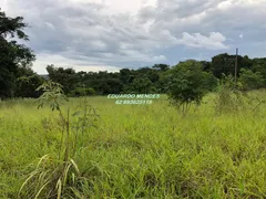 Fazenda / Sítio / Chácara com 3 Quartos à venda, 30312m² no Zona Rural, Gameleira de Goiás - Foto 24