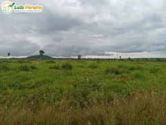 Fazenda / Sítio / Chácara à venda, 24200000m² no Zona Rural, Santana do Araguaia - Foto 5