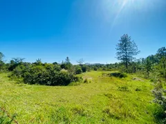 Terreno / Lote / Condomínio à venda, 28000m² no Campestre, Piracicaba - Foto 38