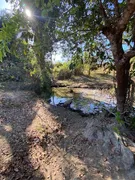 Fazenda / Sítio / Chácara com 3 Quartos à venda, 732000m² no Zona Rural, Jaraguá - Foto 14