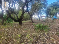 Terreno / Lote / Condomínio à venda, 1000m² no Recanto Campestre Internacional de Viracopos Gleba 4, Indaiatuba - Foto 1