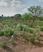 Terreno / Lote / Condomínio à venda, 1000m² no Morada Nova, Uberlândia - Foto 2