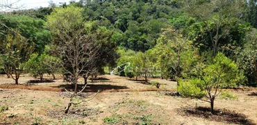 Fazenda / Sítio / Chácara com 4 Quartos à venda, 20000m² no Luiz Carlos, Guararema - Foto 15