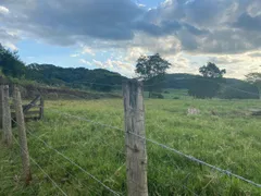 Fazenda / Sítio / Chácara com 3 Quartos à venda, 6m² no Centro, São Simão - Foto 21