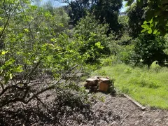 Fazenda / Sítio / Chácara à venda, 170000m² no Zona Rural, Passa Tempo - Foto 4