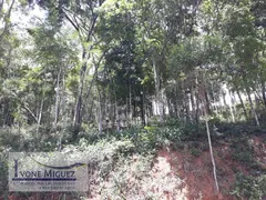 Terreno / Lote / Condomínio à venda, 5000m² no Vale das Videiras, Petrópolis - Foto 52