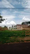 Terreno / Lote / Condomínio à venda, 560m² no Jardim Karaíba, Uberlândia - Foto 2