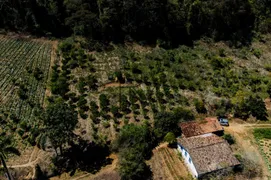 Fazenda / Sítio / Chácara com 4 Quartos à venda, 1016400m² no Providencia, Teresópolis - Foto 4