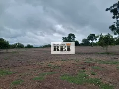 Fazenda / Sítio / Chácara com 3 Quartos à venda, 150m² no Zona Rural, São Valério da Natividade - Foto 15
