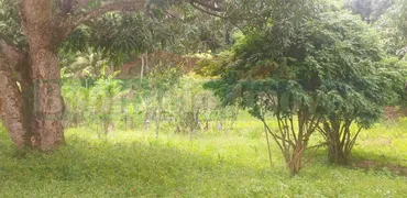 Fazenda / Sítio / Chácara com 3 Quartos à venda, 78m² no Palmital, Saquarema - Foto 29