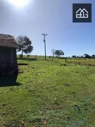Fazenda / Sítio / Chácara com 3 Quartos à venda, 52600m² no , Santa Tereza do Oeste - Foto 8