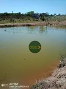 Fazenda / Sítio / Chácara com 2 Quartos à venda, 1887600m² no Zona Rural, Luziânia - Foto 4