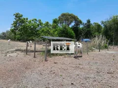 Fazenda / Sítio / Chácara com 3 Quartos à venda, 150m² no Zona Rural, São Valério da Natividade - Foto 1