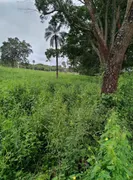 Fazenda / Sítio / Chácara com 2 Quartos à venda, 170000m² no Zona Rural, Monte Alegre de Minas - Foto 20