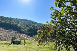 Fazenda / Sítio / Chácara com 3 Quartos à venda, 26000m² no Gaspar Grande, Gaspar - Foto 25