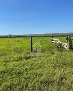 Fazenda / Sítio / Chácara à venda, 1120000m² no Icatu, Querência do Norte - Foto 25