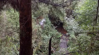 Fazenda / Sítio / Chácara à venda, 20000m² no Zona Rural, Virgínia - Foto 2