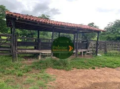 Fazenda / Sítio / Chácara à venda, 1064800m² no Zona Rural, Itapirapuã - Foto 4