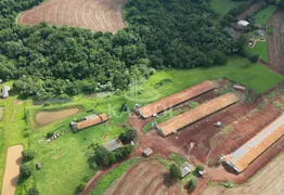 Fazenda / Sítio / Chácara à venda, 42000m² no Zona Rural, Cascavel - Foto 3