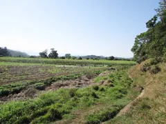 Fazenda / Sítio / Chácara com 3 Quartos à venda, 750200m² no Maraporã, Cachoeiras de Macacu - Foto 13