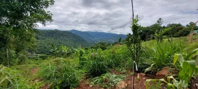 Terreno / Lote / Condomínio à venda, 20000m² no , Linha Nova - Foto 1