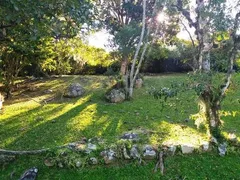 Fazenda / Sítio / Chácara com 5 Quartos à venda, 360m² no Açores, Florianópolis - Foto 4