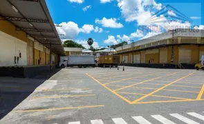 Galpão / Depósito / Armazém para alugar, 8000m² no Porto Seco Pirajá, Salvador - Foto 3