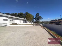 Galpão / Depósito / Armazém para alugar, 2500m² no Distrito Industrial I, São José do Rio Preto - Foto 3