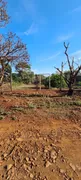 Fazenda / Sítio / Chácara à venda, 1075m² no Conjunto Vale Azul, Sarandi - Foto 6