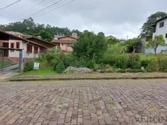 Terreno / Lote / Condomínio à venda no Colina Sorriso, Caxias do Sul - Foto 2