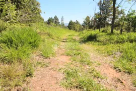 Terreno / Lote / Condomínio à venda, 170700m² no Campestre, São Leopoldo - Foto 2