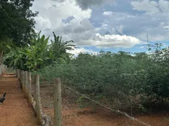 Fazenda / Sítio / Chácara com 6 Quartos à venda, 42000m² no Setor Central, Bonfinópolis - Foto 30