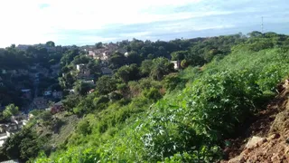 Terreno / Lote / Condomínio à venda, 37312m² no Morro Alto, Vespasiano - Foto 5