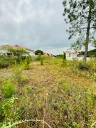 Terreno / Lote / Condomínio à venda, 450m² no Jardim Maluche, Brusque - Foto 2
