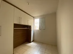 Apartamento com 2 Quartos para venda ou aluguel, 49m² no Parque Residencial Iguatemi, Araraquara - Foto 12