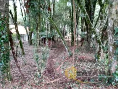 Terreno / Lote / Condomínio à venda, 640m² no Parque das Hortênsias, Canela - Foto 6