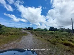 Terreno / Lote Comercial com 1 Quarto para alugar, 4000m² no Comportas, Jaboatão dos Guararapes - Foto 17