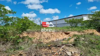 Terreno / Lote / Condomínio à venda, 11200m² no Zona Rural, São José de Mipibu - Foto 1