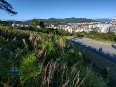 Terreno / Lote / Condomínio à venda, 450m² no Itacorubi, Florianópolis - Foto 12