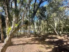 Fazenda / Sítio / Chácara com 4 Quartos à venda, 24000m² no Roça Velha, São José dos Pinhais - Foto 34